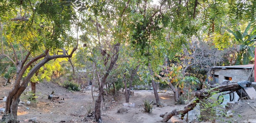 TERRENO EN COLONIA PEDRO NUÑEZ /CON VISTA A PLAYA DE MIRAMAR