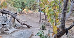 TERRENO EN COLONIA PEDRO NUÑEZ /CON VISTA A PLAYA DE MIRAMAR