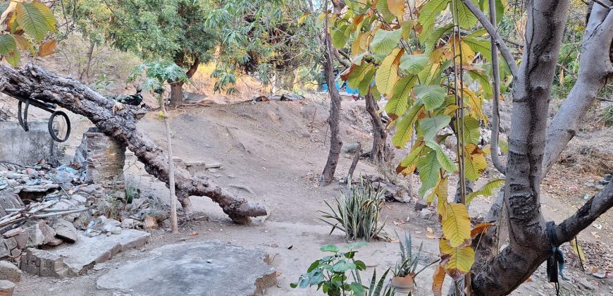 TERRENO EN COLONIA PEDRO NUÑEZ /CON VISTA A PLAYA DE MIRAMAR