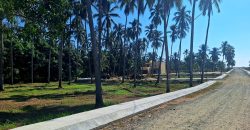 VENTA DE LOTES EN PLAYA DE COCOS / FRACCIONAMIENTO XALI DEL MAR