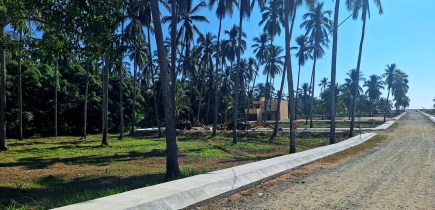 VENTA DE LOTES EN PLAYA DE COCOS / FRACCIONAMIENTO XALI DEL MAR