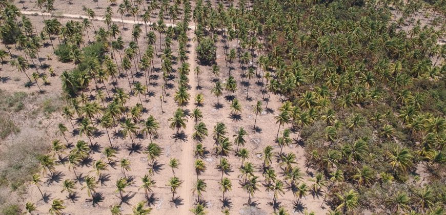 VENTA DE LOTES EN PLAYA DE COCOS / FRACCIONAMIENTO XALI DEL MAR