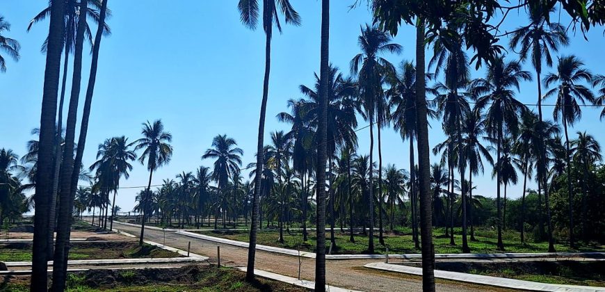 VENTA DE LOTES EN PLAYA DE COCOS / FRACCIONAMIENTO XALI DEL MAR