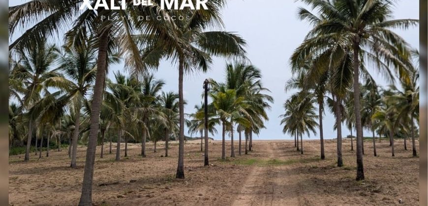 VENTA DE LOTES EN PLAYA DE COCOS / FRACCIONAMIENTO XALI DEL MAR