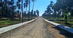 VENTA DE LOTES EN PLAYA DE COCOS / FRACCIONAMIENTO XALI DEL MAR