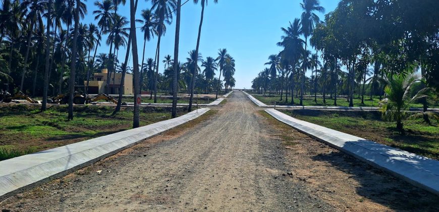 VENTA DE LOTES EN PLAYA DE COCOS / FRACCIONAMIENTO XALI DEL MAR
