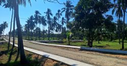 VENTA DE LOTES EN PLAYA DE COCOS / FRACCIONAMIENTO XALI DEL MAR