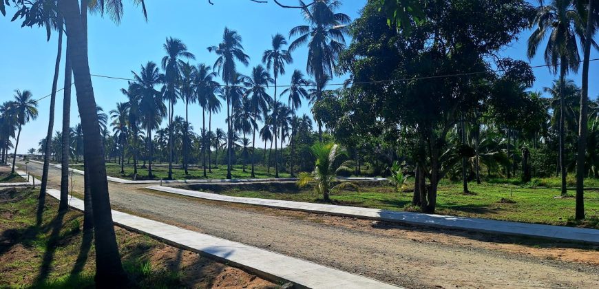 VENTA DE LOTES EN PLAYA DE COCOS / FRACCIONAMIENTO XALI DEL MAR
