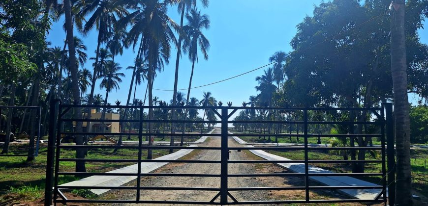 VENTA DE LOTES EN PLAYA DE COCOS / FRACCIONAMIENTO XALI DEL MAR
