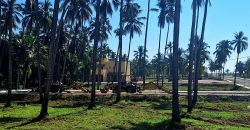 VENTA DE LOTES EN PLAYA DE COCOS / FRACCIONAMIENTO XALI DEL MAR