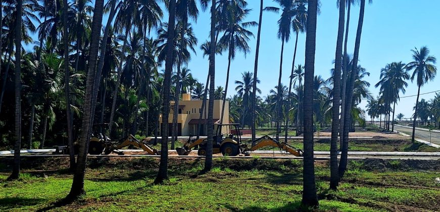 VENTA DE LOTES EN PLAYA DE COCOS / FRACCIONAMIENTO XALI DEL MAR