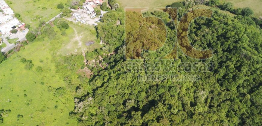 VENTA DE 8.45 HECTÁREAS FRENTE A Fracc. Terraplena