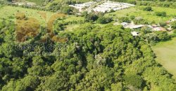 VENTA DE 8.45 HECTÁREAS FRENTE A Fracc. Terraplena
