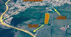 2.4 HECTÁREAS / EL COLOMO -AUTOPISTA A COLIMA