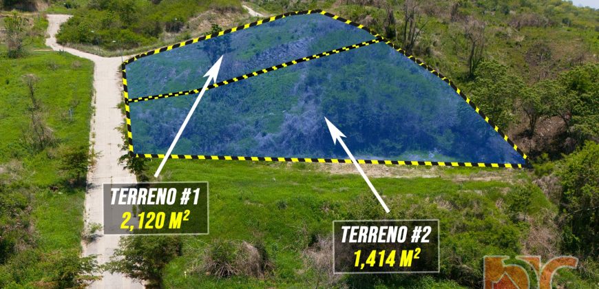 2 LOTES EN VENTA / FRACC. PRIVADO VISTA HERMOSA